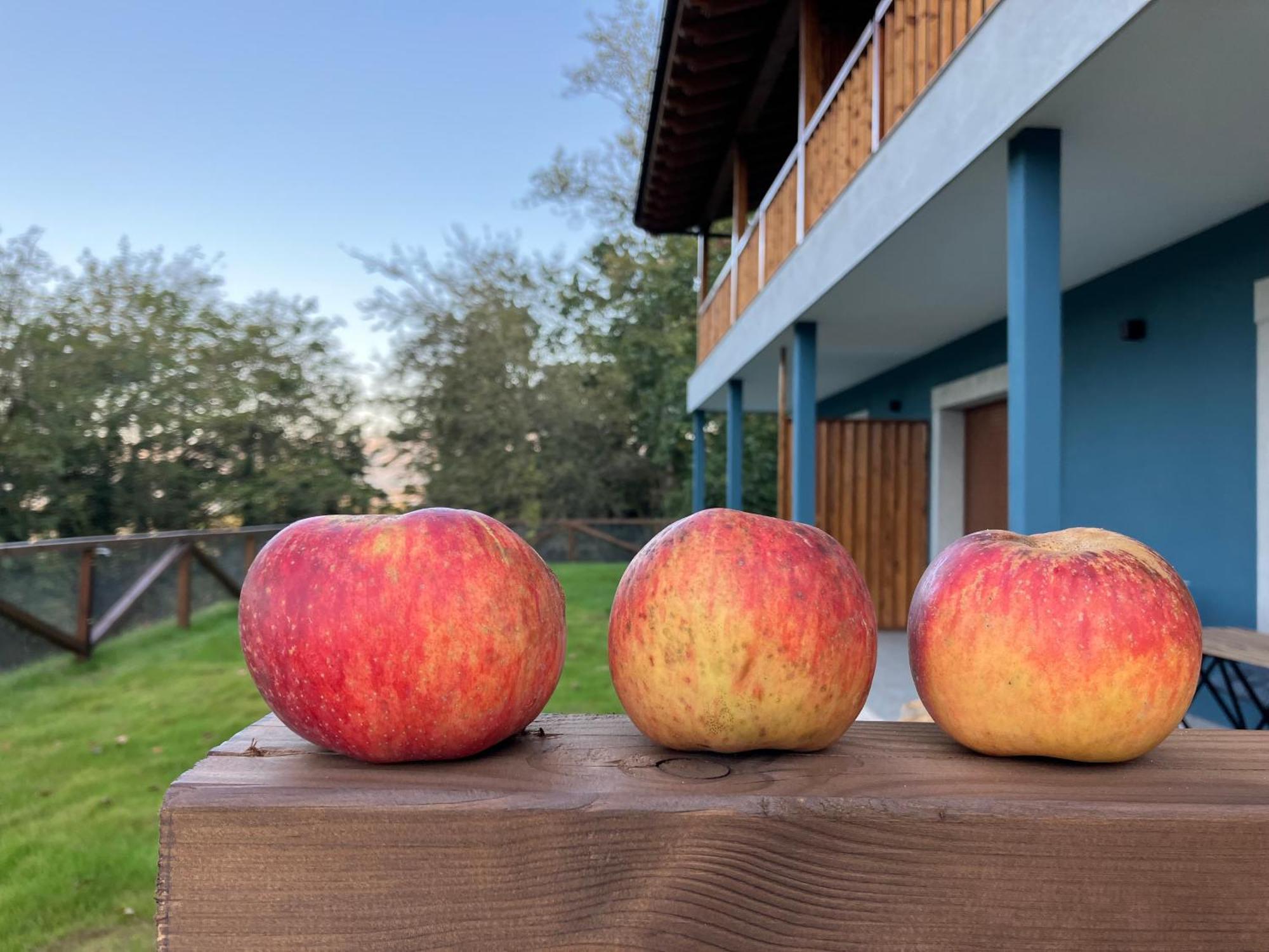 Apartamentos Montes Vindios Cangas de Onis Luaran gambar